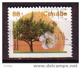 F0854 - CANADA Yv N°1358a ARBRES - Oblitérés