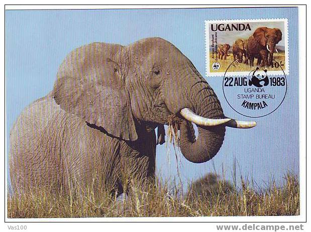 UGANDA 1983 MAXICARD WWF, ELEPHANTS,VERY NICE. - Elefanten