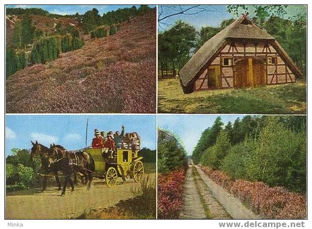 Lüneburger Heide - Schafstall, Postkutsche, Heideweg Und Wacholder - Lüneburger Heide