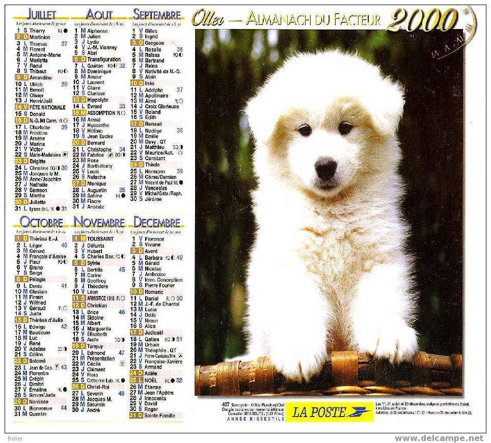 CALENDRIER ALMANACH 2000 - Grand Format : 1991-00