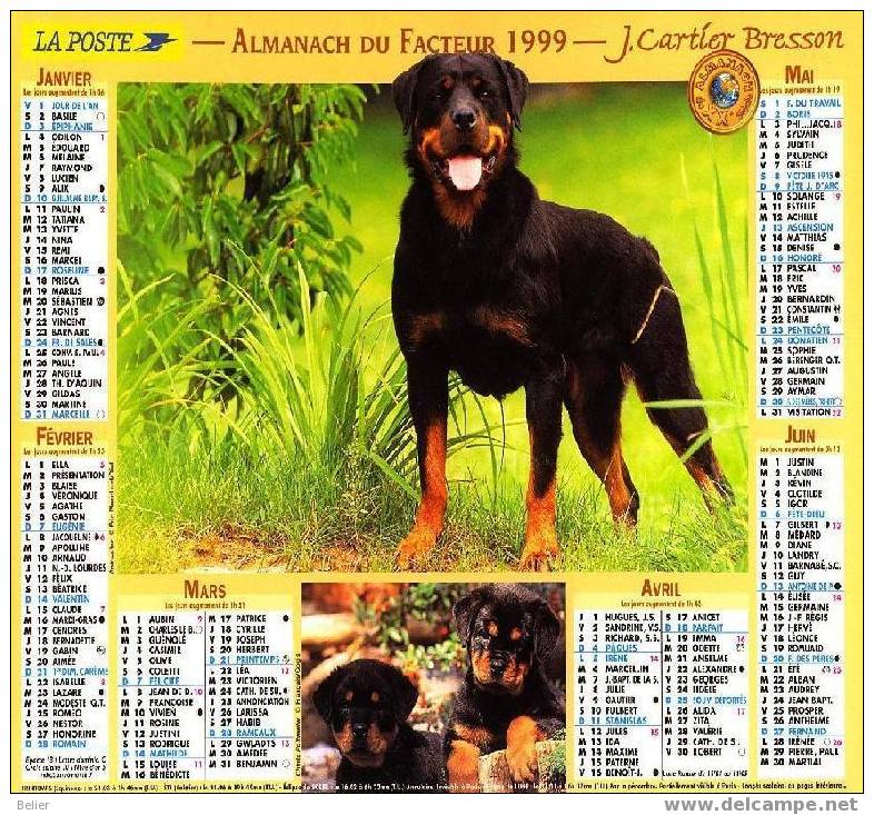 CALENDRIER ALMANACH 1999 - Grossformat : 1991-00