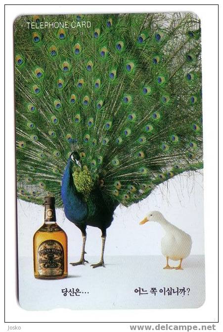 CHIVAS REGAL WHISKY ( Korea Rare Card ) Scotch Whiskey - Drink - Alcohol Beverage - Peacock - Paon - Duck - Cane Canard - Astronomy