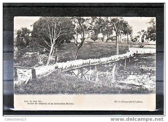 AUSTRALIE - History Of An Australian Merino - Sonstige & Ohne Zuordnung