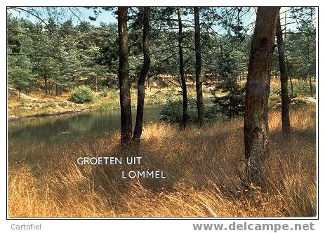 Lommel: Groeten Uit Lommel - Lommel