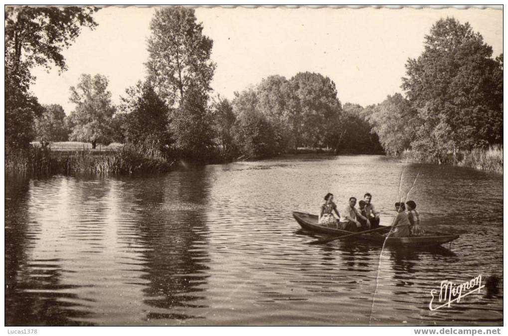 45 /  DORDIVES / LES BORDS DU LOING  / RARE CPSM - Dordives