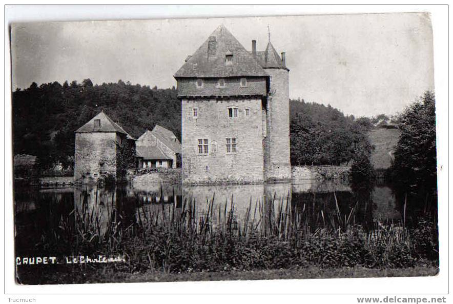 3884 - Crupet - Le Château - Assesse
