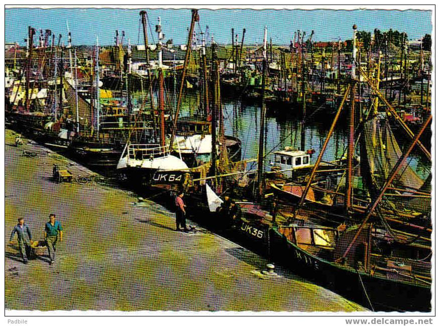 Carte Postale  Hollande URK  Havengezcht  Vue Du Port - Urk