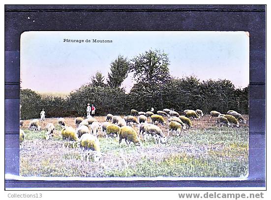 THEMES - Agriculture - Elevage (paturage De Moutons) - Allevamenti