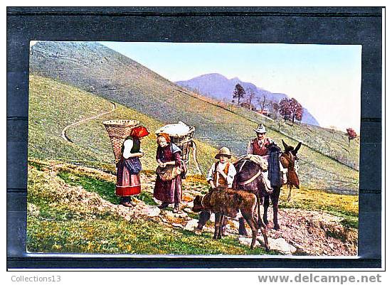 THEMES - Agriculture - Attelage - Equipaggiamenti