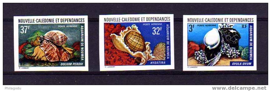 ND Avions 150/152 ** De 1974, Coquillages  De L’aquarium De Nouméa, - Imperforates, Proofs & Errors