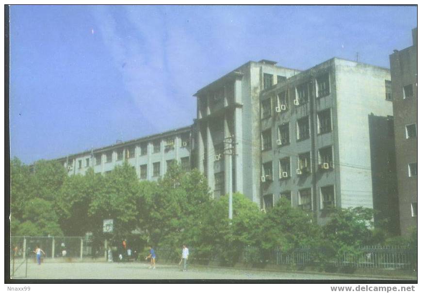 Basketball - The Basketball Court In Shanghai Science & Technology University - B - Basketball