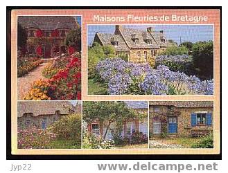 Jolie CP Maisons Fleuries De Bretagne Fleurs - Neuve - Andere & Zonder Classificatie