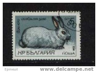 BULGARIE ° 1985 N° 2993 YT ANIMAUX LAPINS - Usati