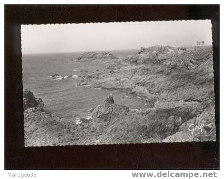 12844 St Lunaire Vue Générale Sur Le Décollé édit.artaud N°20 Belle Cpsm - Saint-Lunaire