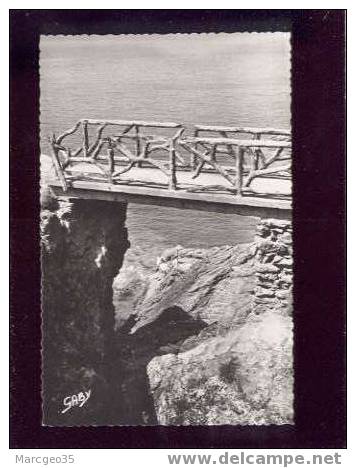 12845 St Lunaire Le Pont Du Diable & La Grotte Des Sirènes édit.artaud N°34 Belle Cpsm - Saint-Lunaire