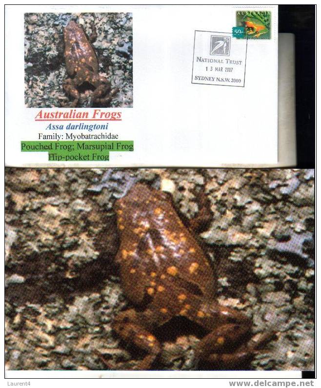 1 Australian Frog Cover + Postcard -1 Enveloppe Et Carte De Grenouille Australienne - Grenouilles