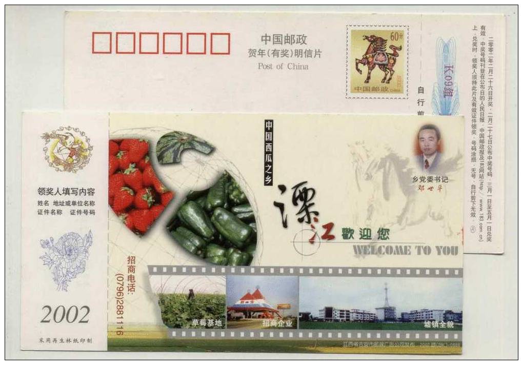 Fruit Strawberry,vegetable Green Capsicum,food,CN 02 Lijiang Agricultural Product Advertising Pre-stamped Card - Groenten