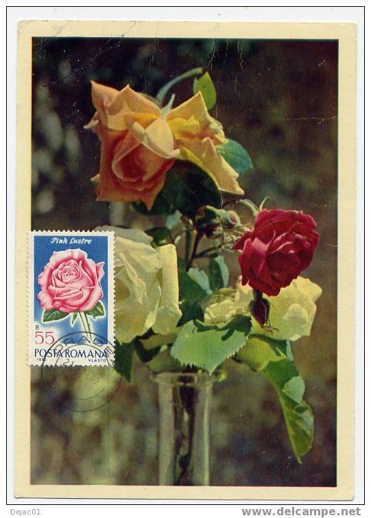 Carte Maximum De Roumanie : Rose - R 3146 - Roses
