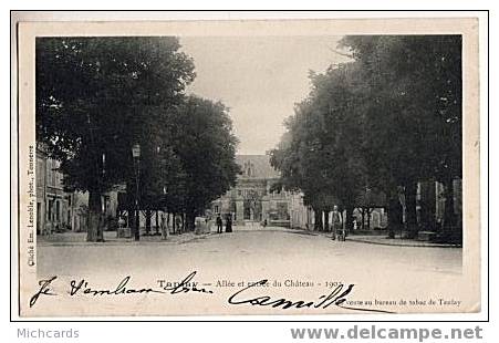 CPA 89 TANLAY - Allee Et Entree Du Chateau - 1902 - Tanlay