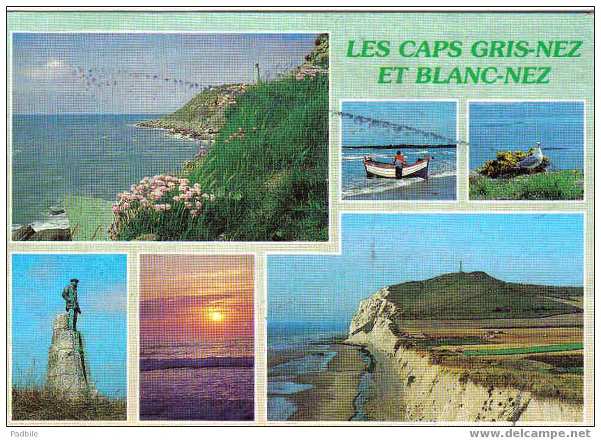 Carte Postale  62. Le Cap-Blanc-Nez - Wissant