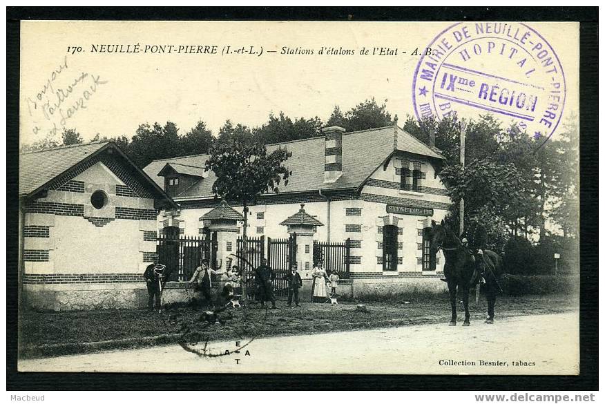 37 - NEUILLE PONT PIERRE - Stations D´étalons De L´Etat - ANIMÉE - Neuillé-Pont-Pierre
