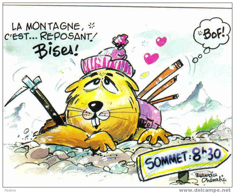 Carte Postale Les Sports D´Hiver Le Ski  Par Maurice Chevalier   Les Marmottes - Alpinisme