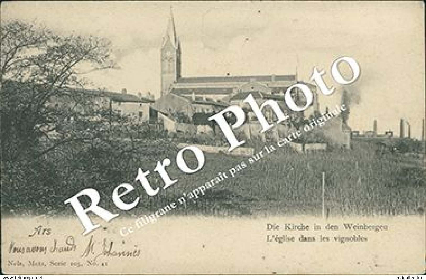 ARS SUR MOSELLE L'église Dans Les Vignobles Nels Série 105 N°41 - Ars Sur Moselle