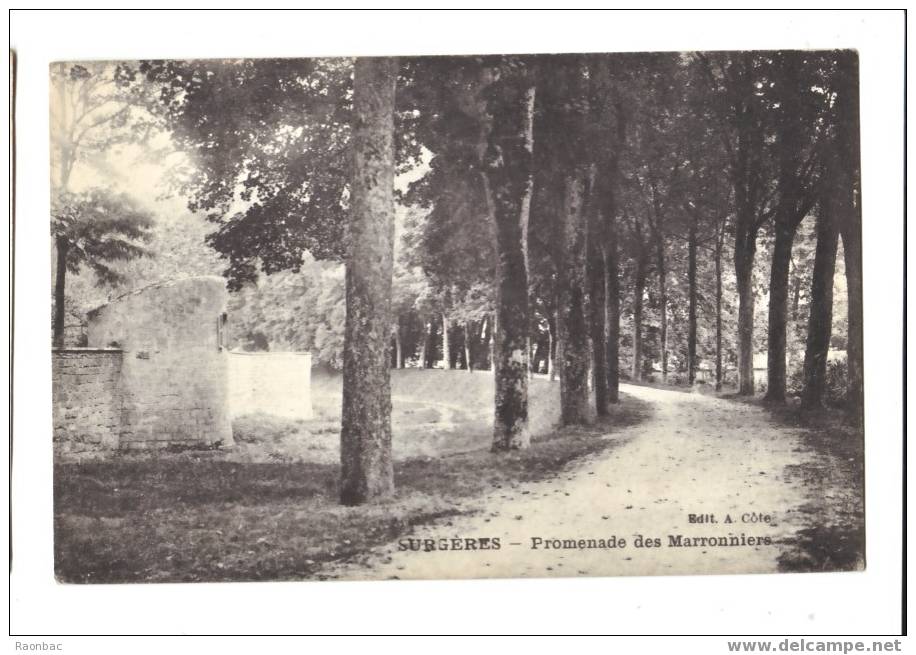 CPA----17---- Surgères ----PROMENADE DES MARRONNIERS - Surgères