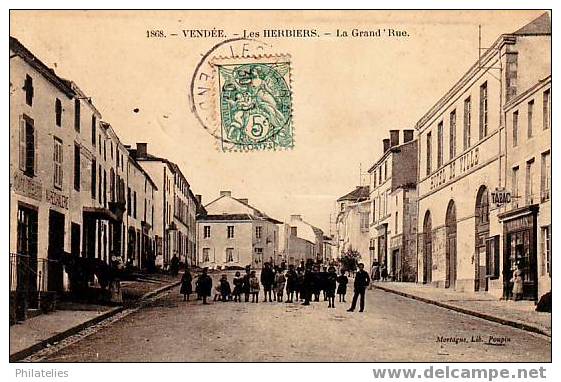 LES HERBIERS   GRANDE RUE 1905 - Les Herbiers