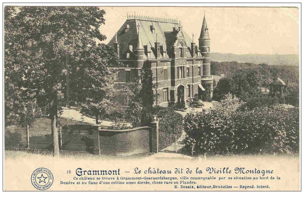 GRAMMONT - LE CHATEAU DIT DE LA VIEILLE MONTAGNE - Geraardsbergen