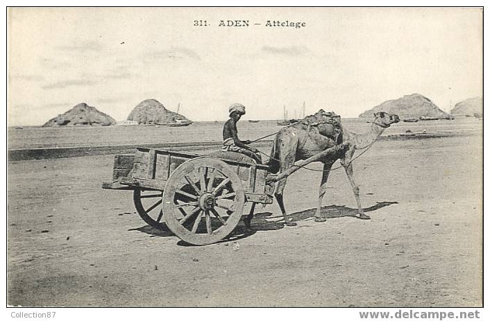 ASIE - PROCHE ORIENT - YEMEN - ADEN - ATTELAGE - 311 Edit. MESSAGERIE MARITIME Avant 1904´s - Yémen