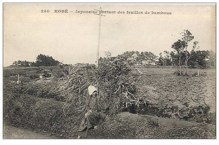 ASIE - JAPON - KOBE - JAPONNAISE Portant Des FEUILLES De BAMBOUS - EDIT. MESSAGERIES MARITIMES Avant 1904's - Kobe