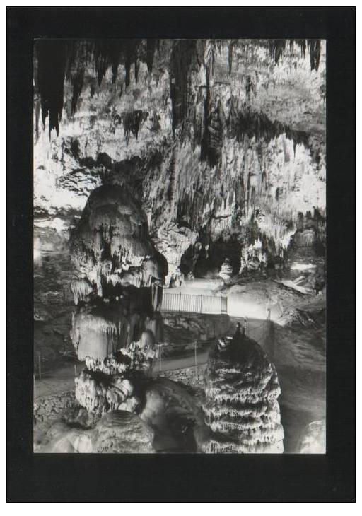 POSTOJNA CAVE Postcard SLOVENIA - Slovenia