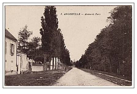 CPA 91 ANGERVILLE - Avenue De Paris - Angerville