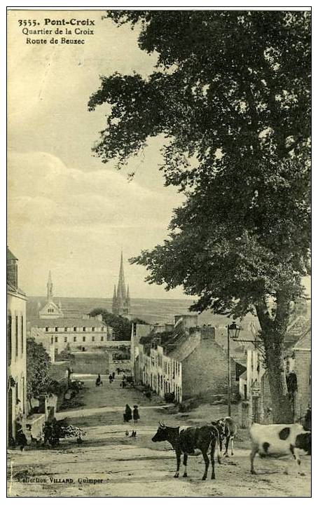 29 .  PONT-CROIX .  QUARTIER DE LA CROIX ROUTE DE BEUZEC . ( VACHES BRETONNE SUR LA RUE  ) - Pont-Croix