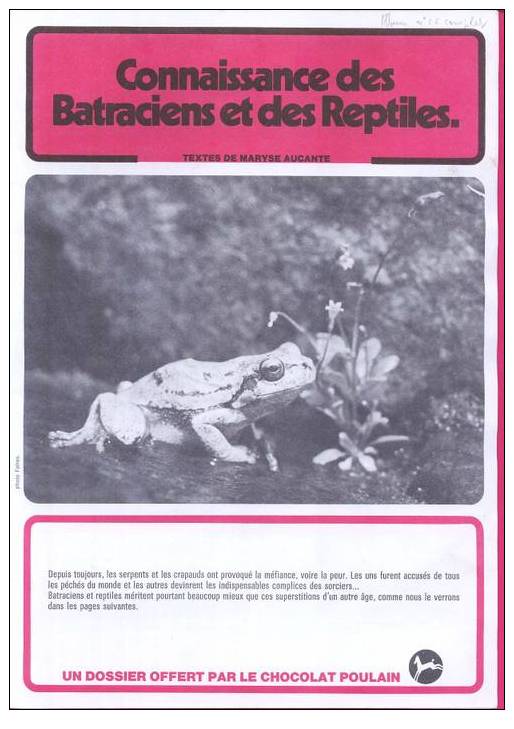 ALBUM POULAIN N° 26   Connaissance Des Batraciens Er Des Reptiles  (complet) - Albums & Catalogues