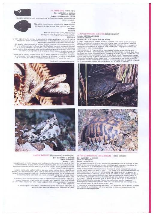 ALBUM POULAIN N° 26   Connaissance Des Batraciens Er Des Reptiles  (complet) - Albums & Catalogues