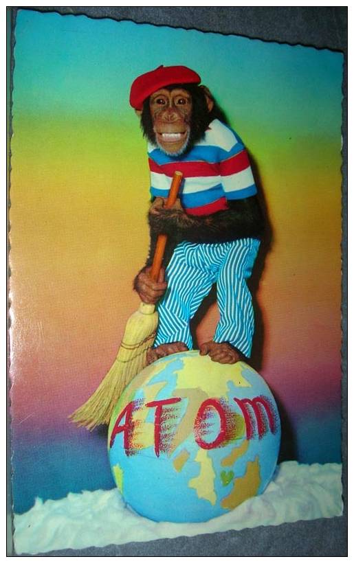 Monkey With Broom,Earth,Atom, Postcard - Monkeys