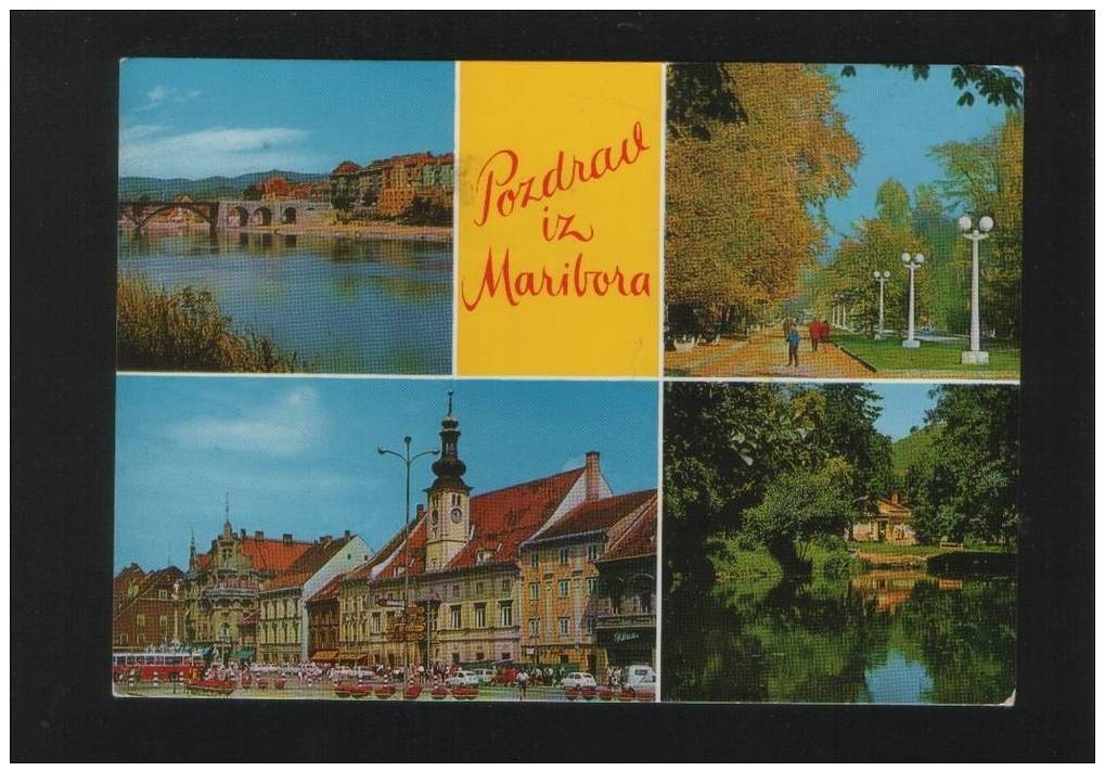 MARIBOR Postcard SLOVENIA - Slovenia