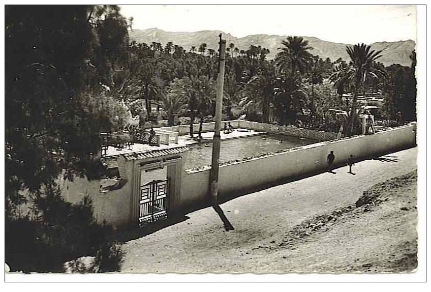 ALGERIE COLOMB BECHAR La Piscine Municipale + Petite Animation CPSM Des Années 50 - Bechar (Colomb Béchar)