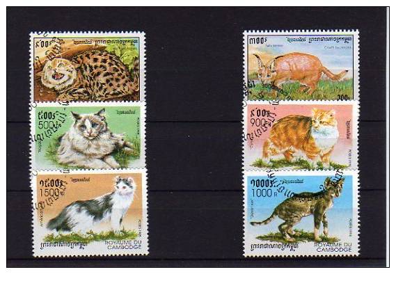 Timbres Sur Les Chats - Gatti