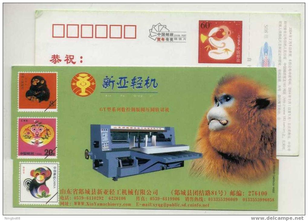 China 2004 Light-Duty Machine Advertising Postal Stationery Card Golden Monkey - Monkeys