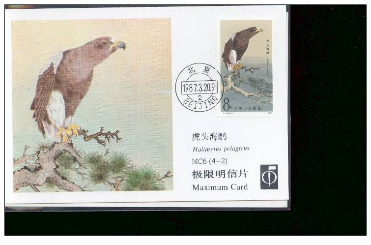 CHINE CARTE  MAXIMUM    NUM.YVERT 2815 OISEAUX DE PROIE - Maximumkaarten