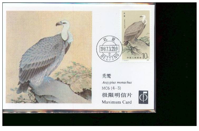 CHINE CARTE  MAXIMUM    NUM.YVERT 2816 OISEAUX DE PROIE - Maximum Cards
