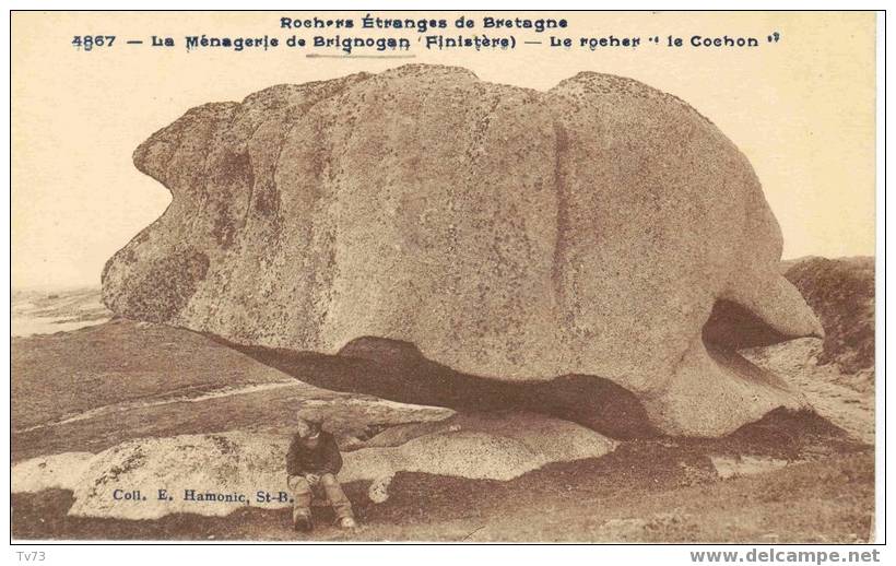 Cpb 252 - Rochers étranges De Bretagne - La Ménagerie De BRIGNOGAN - Le Rocher " Le Cochon" (29 - Finistère) - Brignogan-Plage