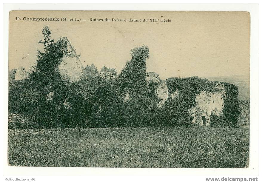 49 - CHAMPTOCEAUX - Ruines Du Prieuré Datant Du XIIIe Siècle. - Champtoceaux