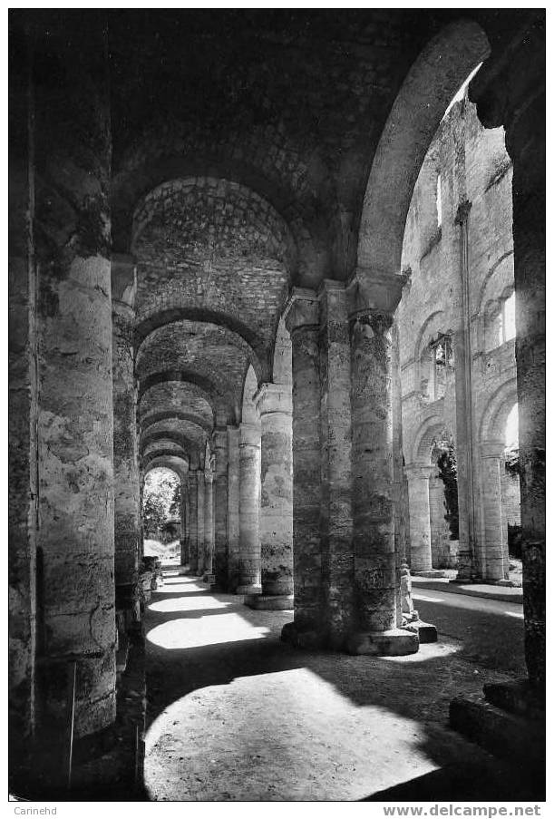 JUMIEGES RUINES ABBAYE - Jumieges