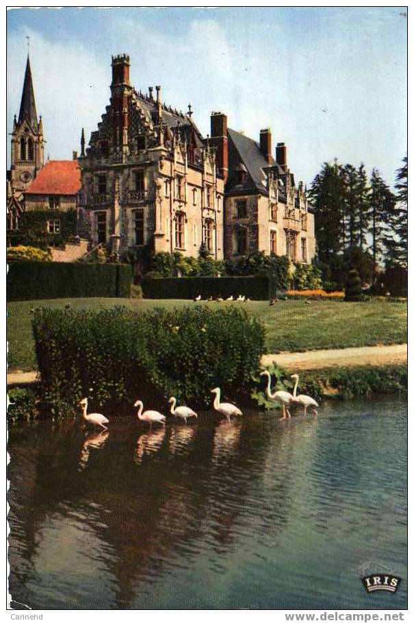 PARC ZOOLOGIQUE DE CLERES CHATEAU ET FLAMANTS ROSES - Clères