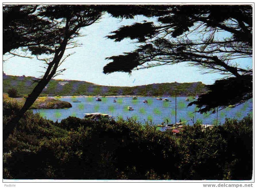 Carte Postale 83 De L'ile De Porquerolles - La Plage Du Grand Langoustier - Porquerolles