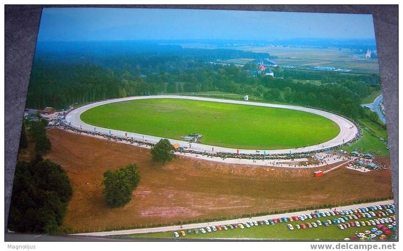 Hippodrome, Horse, Race,Slovenia, Postcard - Horse Show